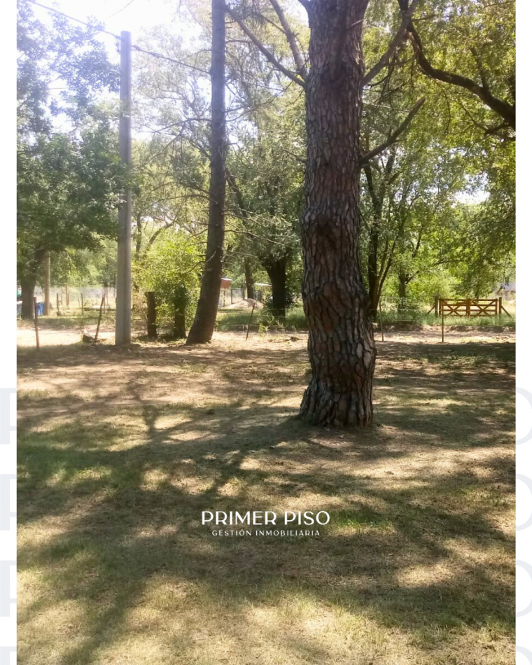 Terreno en San Ignacio