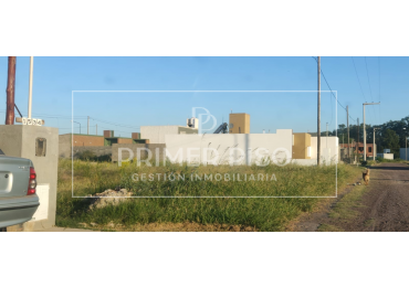 TERRENO EN VENTA | JARDINES DEL HIPICO