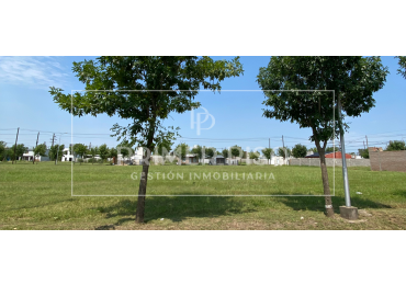 VENTA TERRENO | BARRIO VILLA ALBERTINA